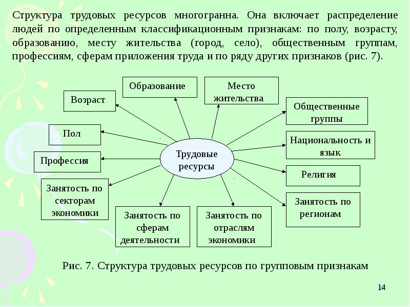 Трудовые ресурсы презентация по экономике