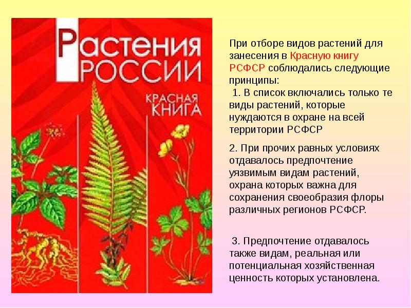 Растения красной книги картинки для детей