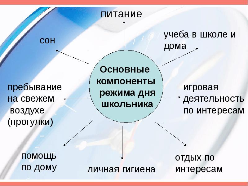 Режим дня презентация 8 класс по биологии