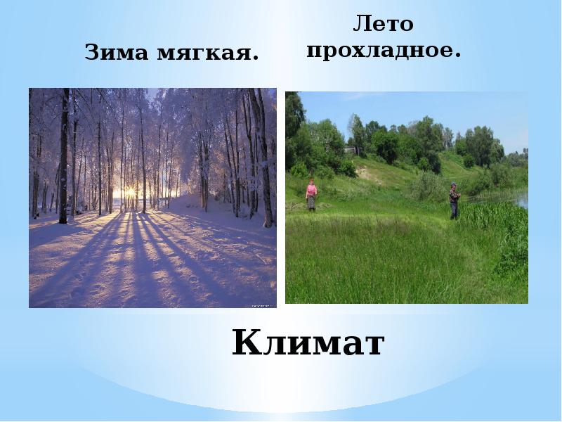 Теплое лето и умеренно холодная мягкая зима. Климат Беларуси. Мягкая зима климат. Природа и климата Белоруссии. Прохладное лето и мягкая зима это.