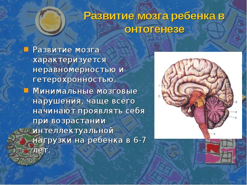 Секреты развития мозга ребенка. Развитие мозга ребенка. Мозг ребенка. Развиваем мозг. Формирование мозга у ребенка.