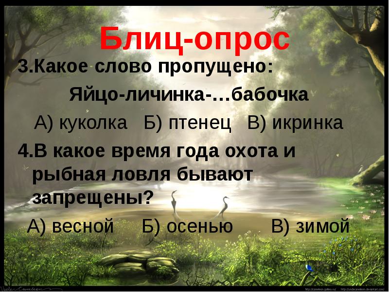 Какое слово пропущено яйцо личинка куколка. Какое слово пропущено яйцо. Какое слово пропущено икринка. Какое слово пропущено яйцо личинка. Яйцо личинка бабочка какое слово пропущено.