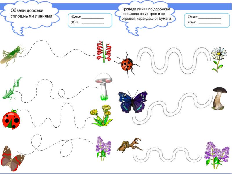Коротко проведи. Насекомые дорожки. Дорожки насекомые для дошкольников. Обведи насекомых. Обведи дорожки.