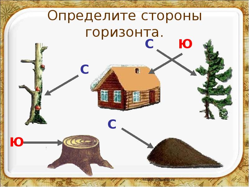 Запиши правила ориентирования по местным природным признакам используя данные рисунки