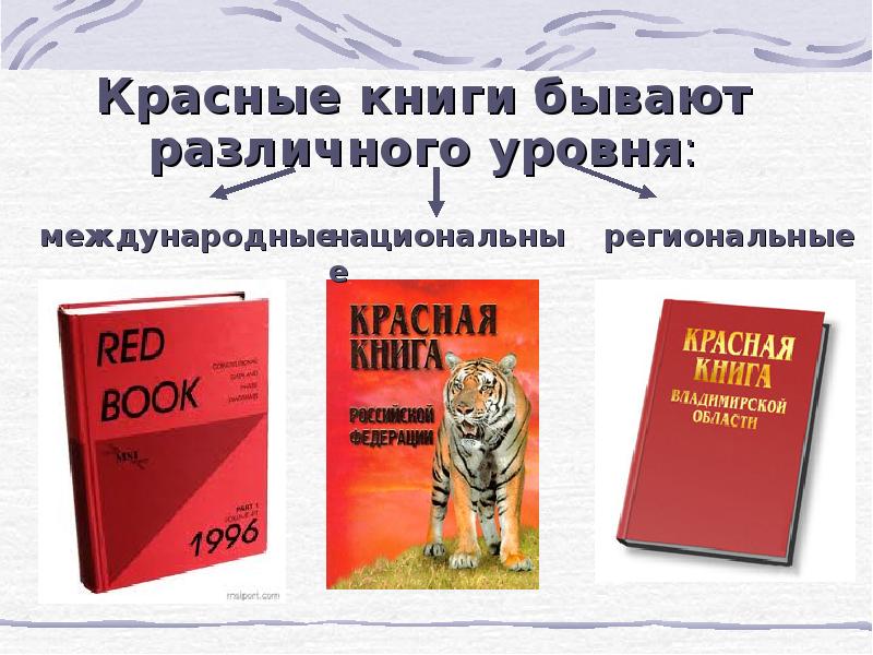 Исследовательский проект красная книга