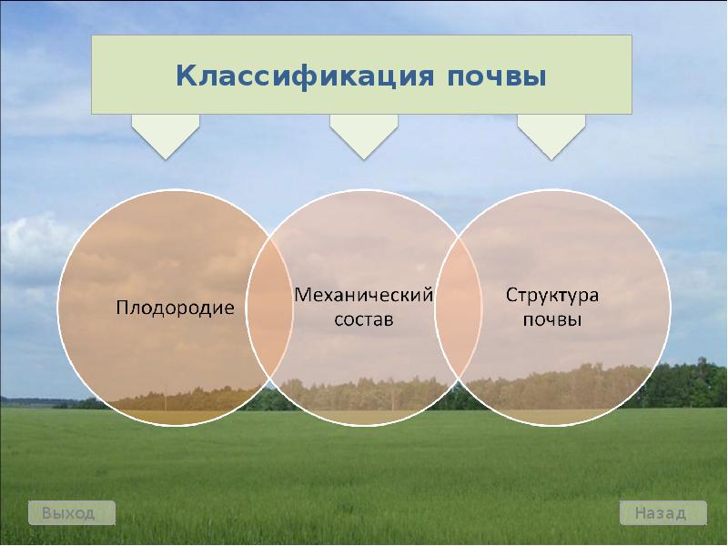 Классификация почв презентация