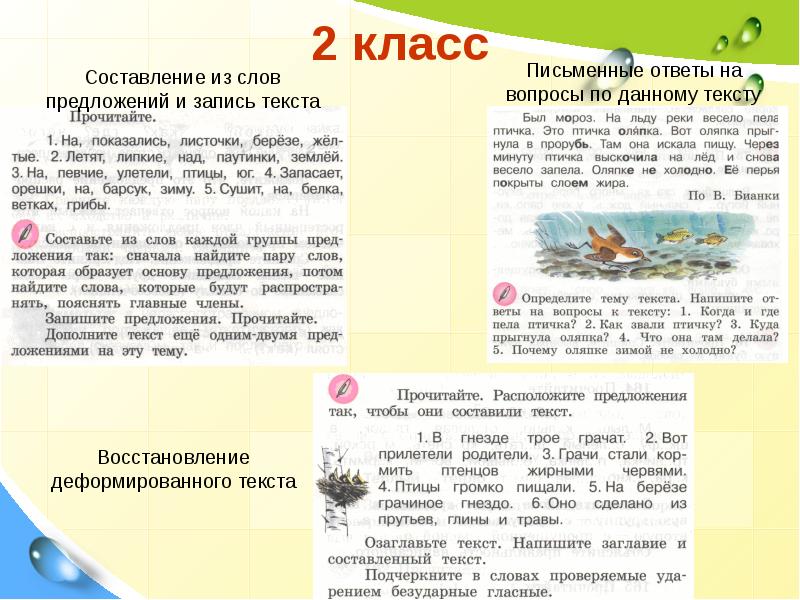 Текст для составления плана 5 класс русский язык