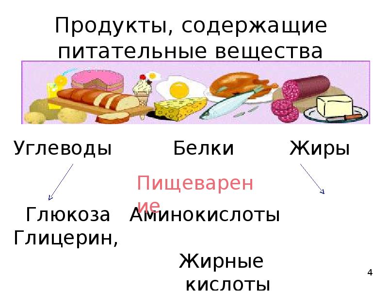 Какие продукты содержат углеводы список продуктов