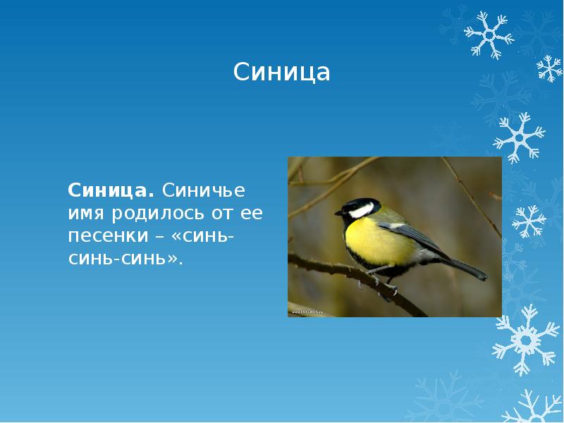 Где найти синь синь