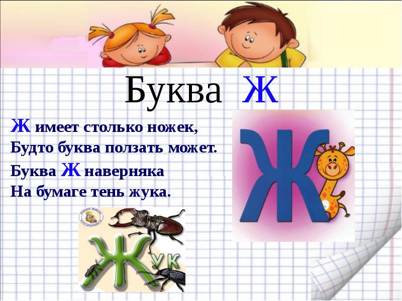 Презентация буква ж