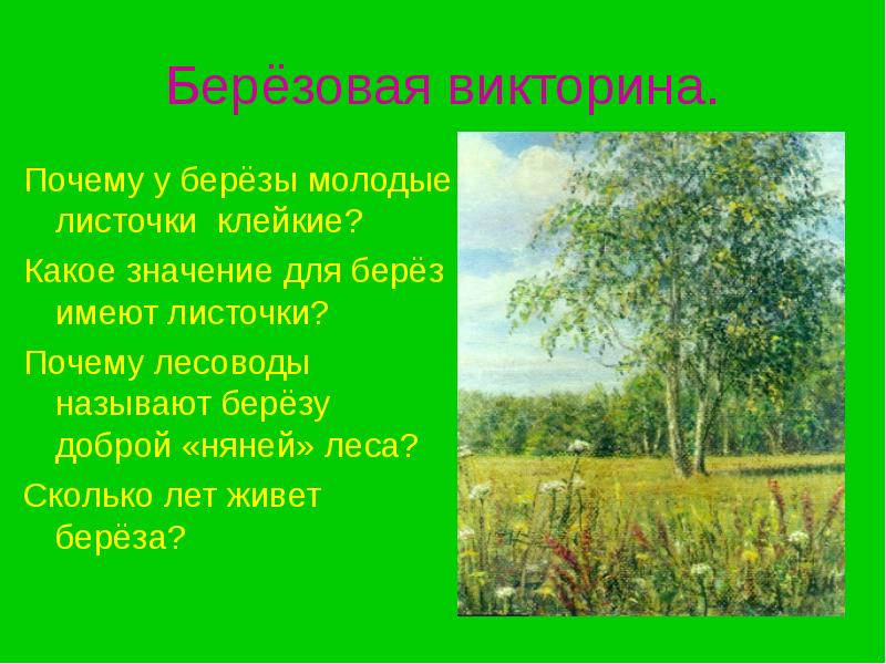 Картинки береза символ россии для детей