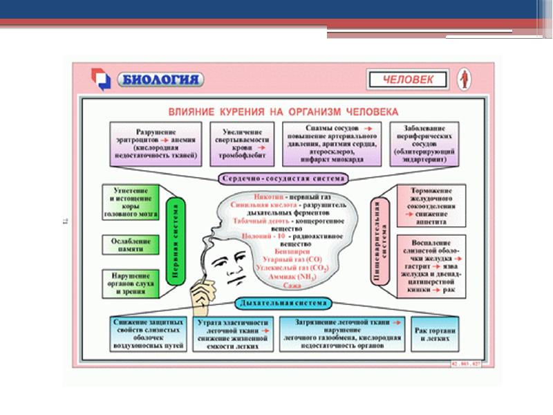 Влияние курения на организм подростка проект по биологии