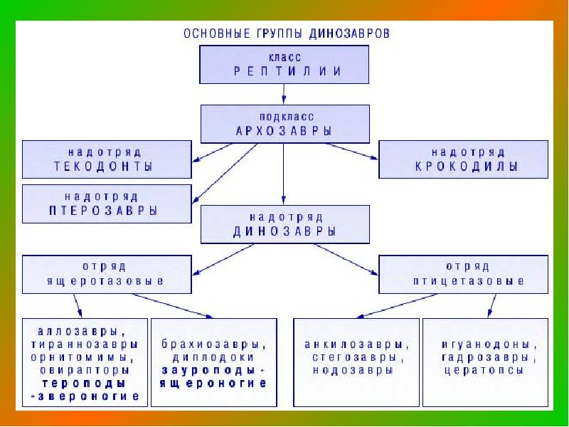 Схема классификации динозавров