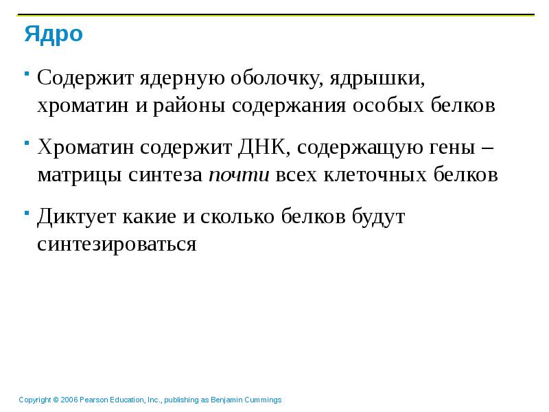 Содержание особый. Ядро содержит. Какое количество ядерщик содержится в клетках.