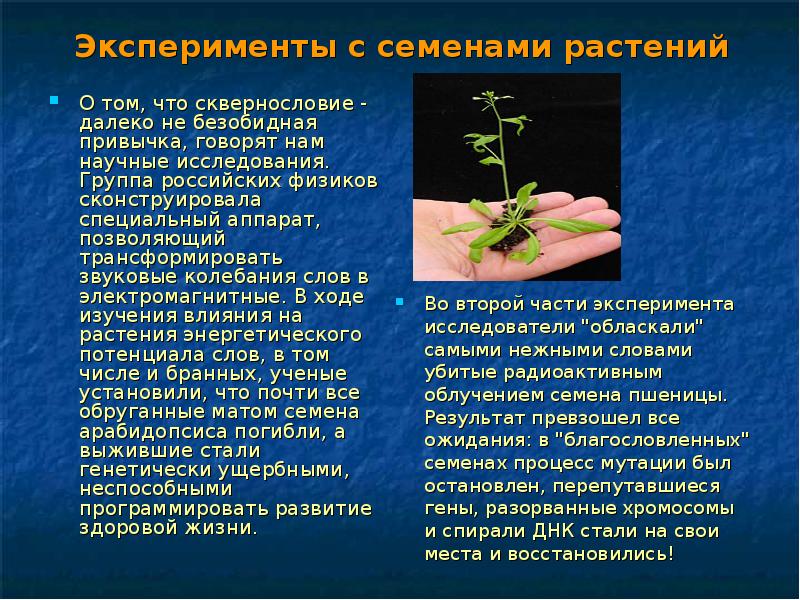 Классный час сквернословие 7 класс презентация