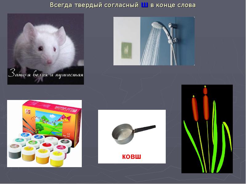 Картинки со звуком ш в начале середине и конце слова