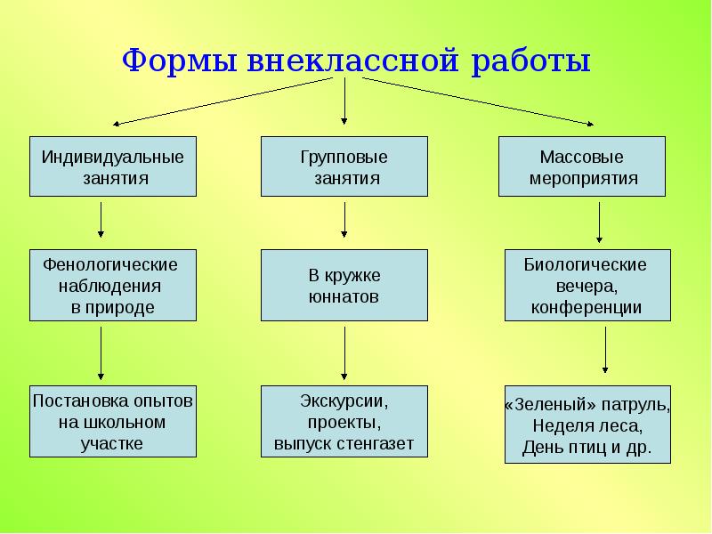 Форма проекта. Формы внеклассной работы. Виды внеклассной работы по биологии. Формы и виды внеклассной работы по биологии. Формы организации внеклассной работы.