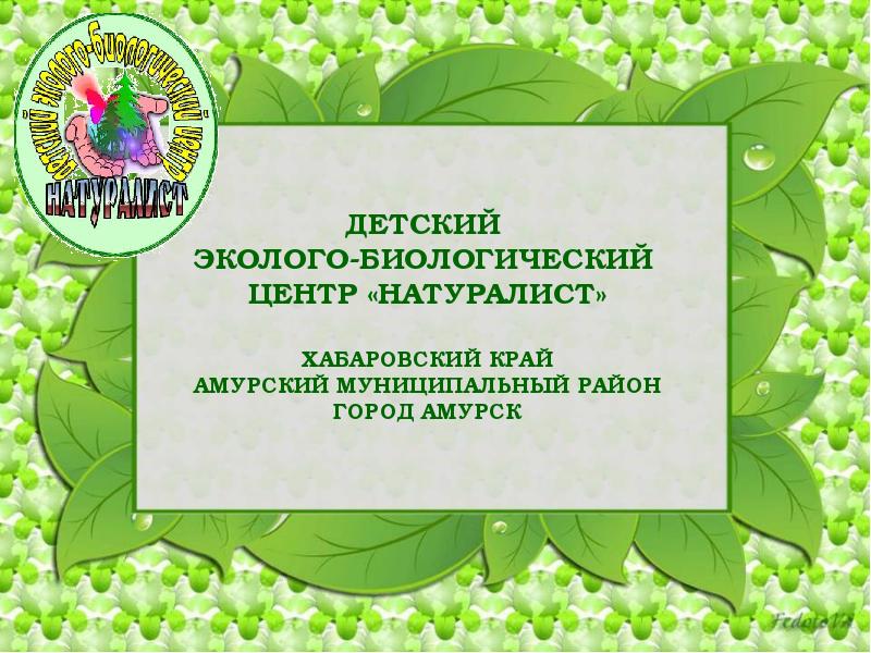 Детский эколого биологический центр. Натуралист Амурск. ДЭБЦ натуралист. Сайт натуралист г Амурск. Экологический центр Хабаровск.