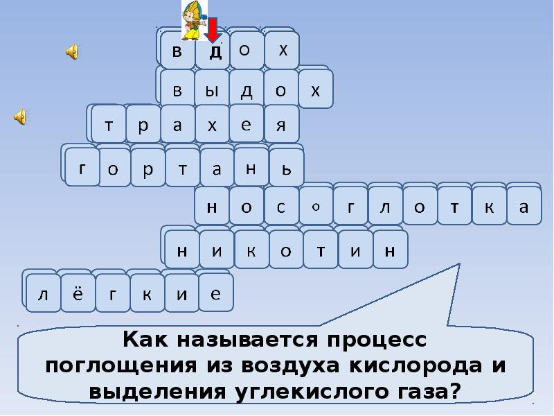 Кроссворд дыхание. Кроссворд по биологии на тему дыхательная система. Кроссворд органы дыхания. Кроссворд по теме дыхание. Кроссворд на тему дыхание.