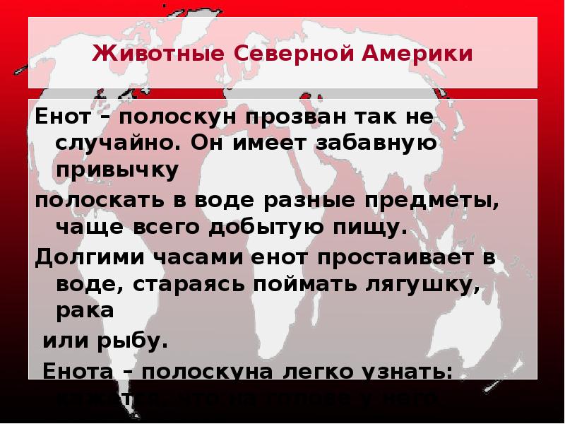 Животные Северной Америки
Енот – полоскун прозван так не случайно. Он Животные Северной Америки
Енот – полоскун прозван так не случайно. Он
