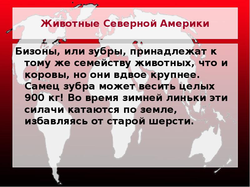 Животные Северной Америки
Бизоны, или зубры, принадлежат к тому же семейству Животные Северной Америки
Бизоны, или зубры, принадлежат к тому же семейству