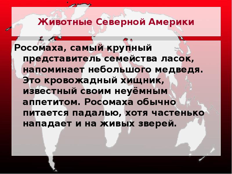 Животные Северной Америки
Росомаха, самый крупный представитель семейства ласок, напоминает небольшого Животные Северной Америки
Росомаха, самый крупный представитель семейства ласок, напоминает небольшого