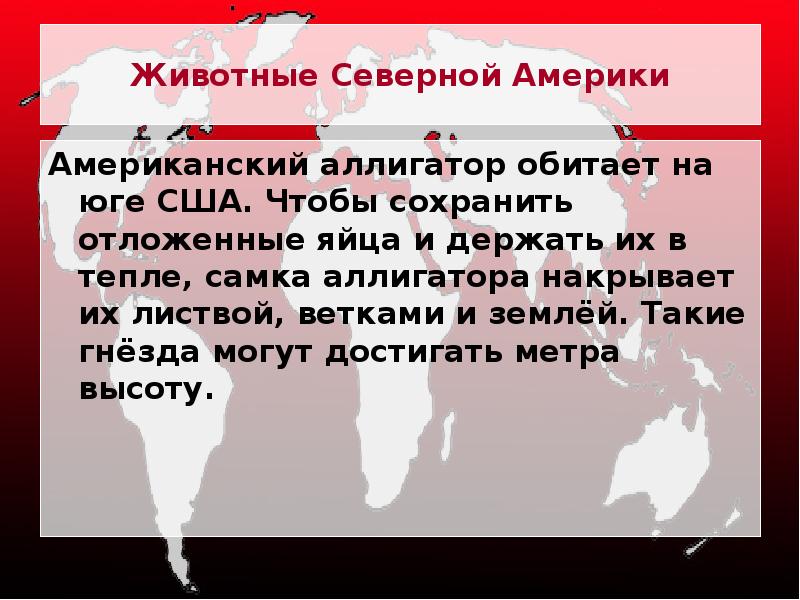 Животные Северной Америки
Американский аллигатор обитает на юге США. Чтобы сохранить Животные Северной Америки
Американский аллигатор обитает на юге США. Чтобы сохранить