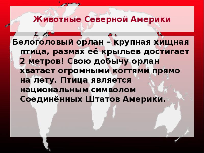 Животные Северной Америки
Белоголовый орлан – крупная хищная птица, размах её Животные Северной Америки
Белоголовый орлан – крупная хищная птица, размах её