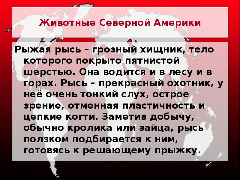 Животные Северной Америки
Рыжая рысь – грозный хищник, тело которого покрыто Животные Северной Америки
Рыжая рысь – грозный хищник, тело которого покрыто