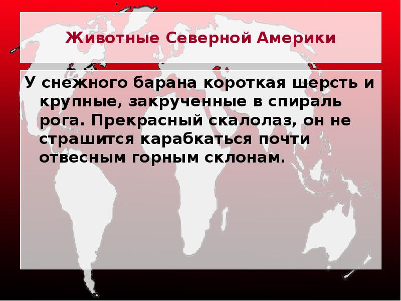 Животные Северной Америки
У снежного барана короткая шерсть и крупные, закрученные Животные Северной Америки
У снежного барана короткая шерсть и крупные, закрученные