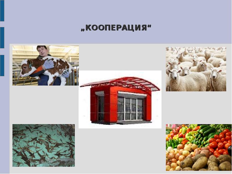 Презентация кооператив. Кооперация презентация. Кооперация это в истории. Кооперация это в биологии.