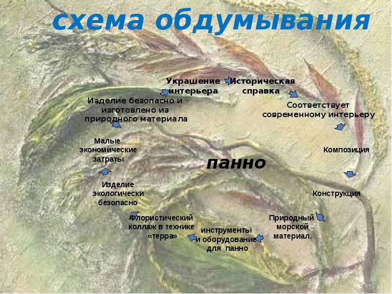 О проекте алгоритмика белгородская область