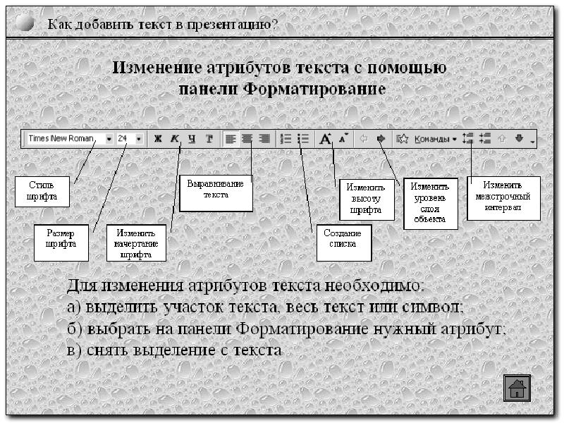 Текстовой атрибутов