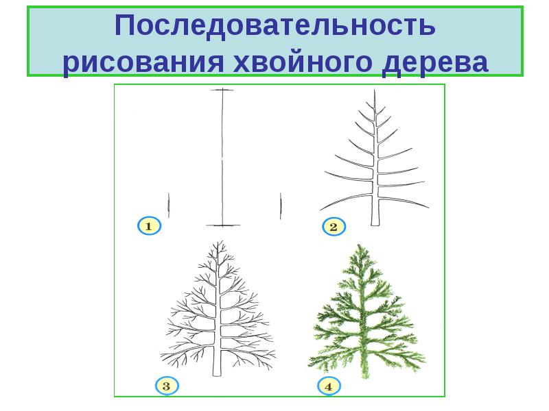 Поэтапное рисование дерева 2 класс презентация