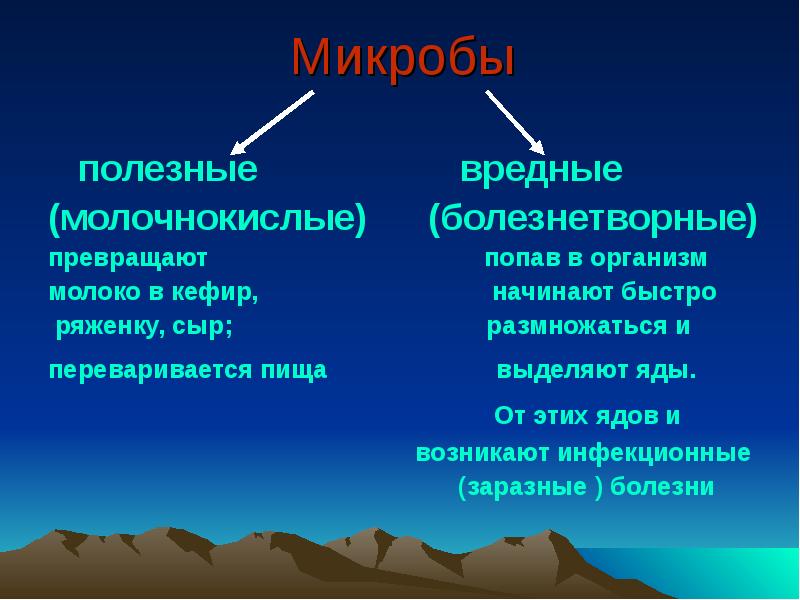 Полезные и вредные бактерии презентация