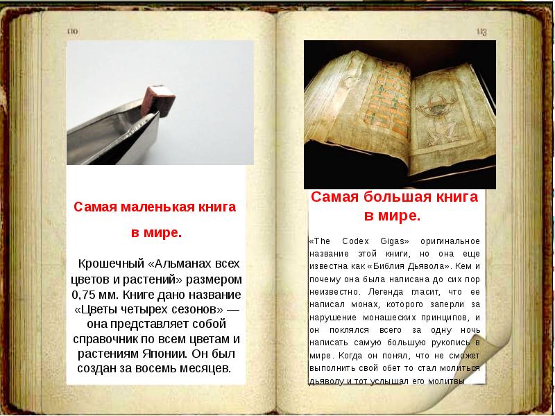 Самая большая книга в мире