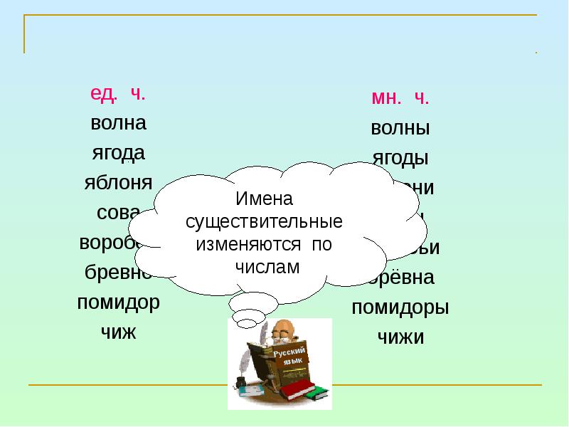 Какие бывают имена презентация