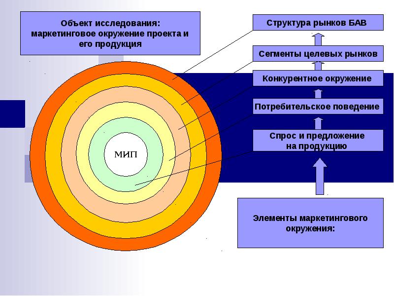 Ближнее и дальнее окружение проекта