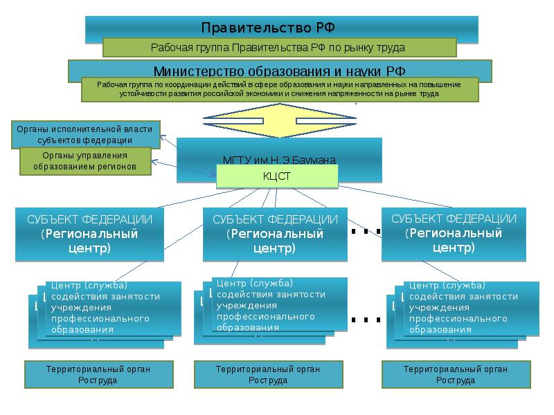 Образовательные учреждения министерства образования. Структура центра содействия трудоустройству выпускников. Структура центра содействия трудоустройству. Схема центра содействия трудоустройству. Блок схема содействия трудоустройству выпускников.