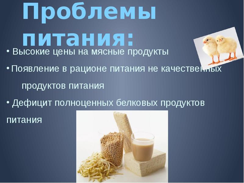 Основной проблемы питания. Проблемы питания и производства. Пищевые проблемы. Проблемы продуктов питания. Презентация продуктов.