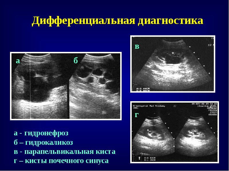  Foto 31