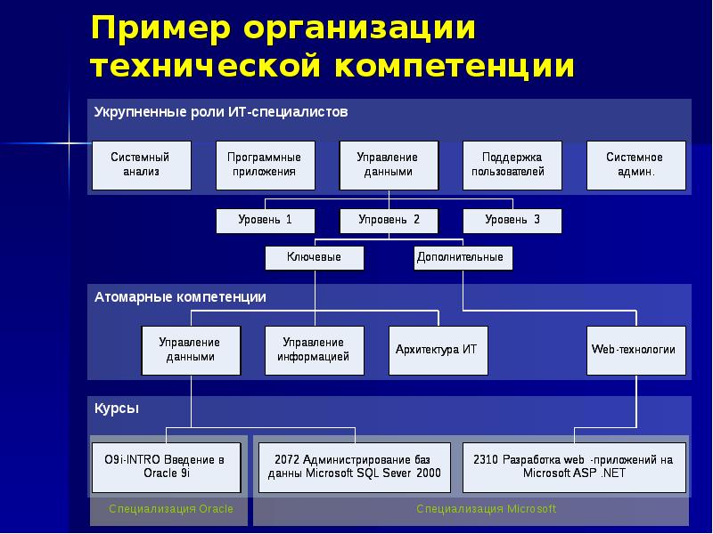 Технические навыки. Технические компетенции. Технические компетенции примеры. ИТ компетенции что это. Организации примеры.