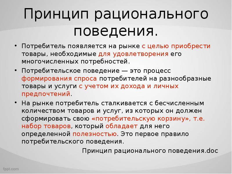 Рациональный потребитель план