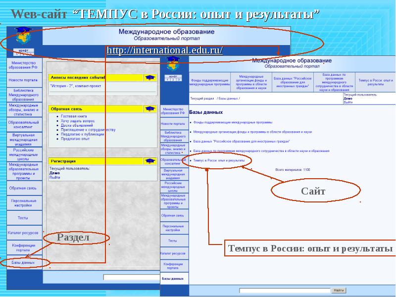 Образовательные международные проекты и программы