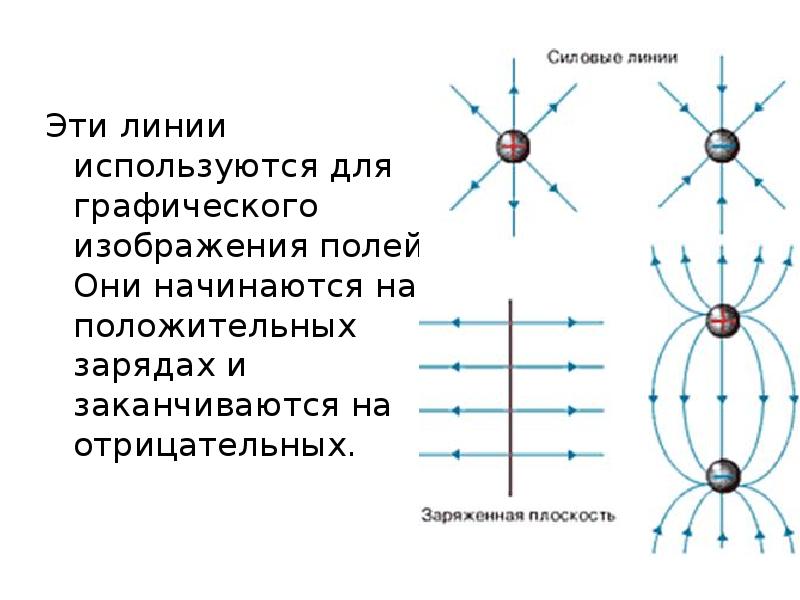 Линии напряженности начинаются на положительном заряде