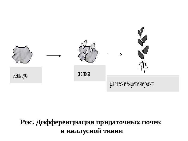 На рисунке представлен метод