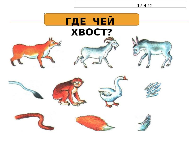 Чье животное. Игра «чей хвост». Задания для дошкольников Восты. Задание хвосты животных. Игра чей хвост в картинках.