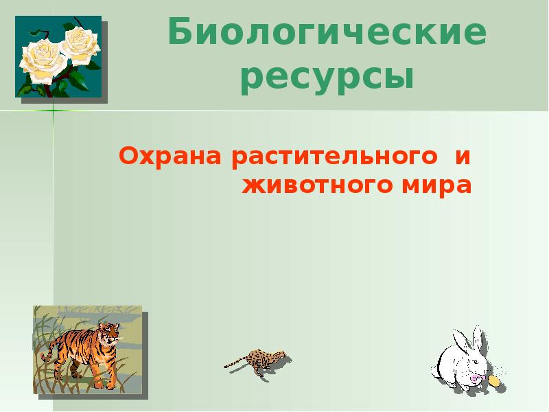 Презентация охрана растительного мира 6 класс биология