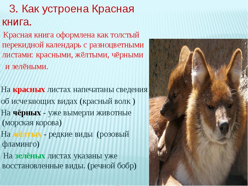 Презентация красная книга россии 3 класс