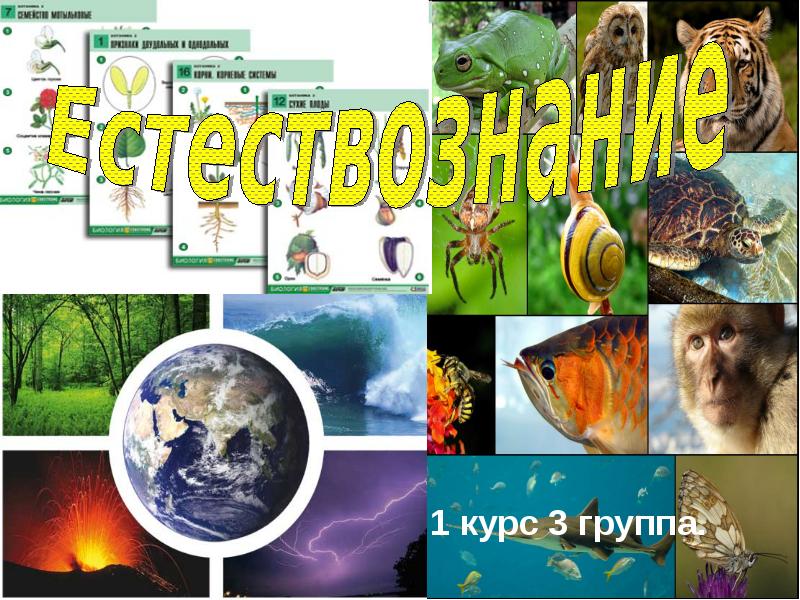 Презентация про естествознание